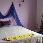 Belle Stelle Sofia